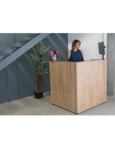 Recepción Escuadra