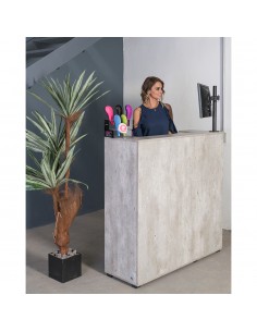 Recepción Recta
