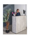 Recepción Recta