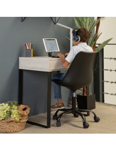 Silla Frankfurt con Pistón Neumático