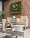 Sillones Pedi-Spa